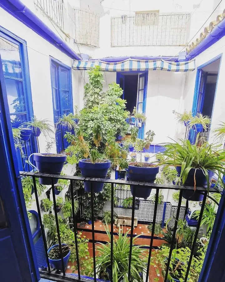 ** Guest house The Dreamers&Co Cordoba Spain